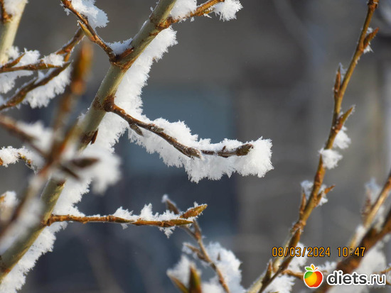вот здесь пригодился мой фотоаппарат, альбом: февраль/март 2024