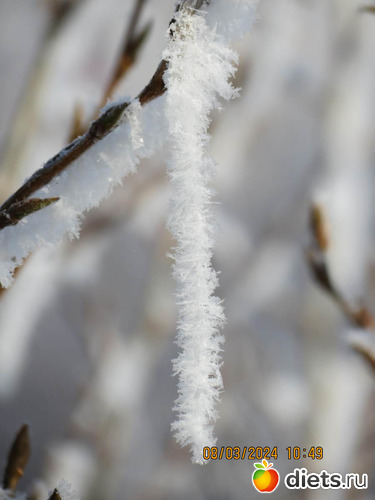 висюлька!, альбом: февраль/март 2024