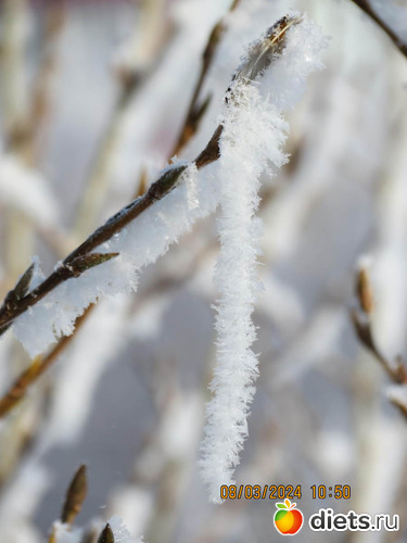 во всей своей нежности, альбом: февраль/март 2024