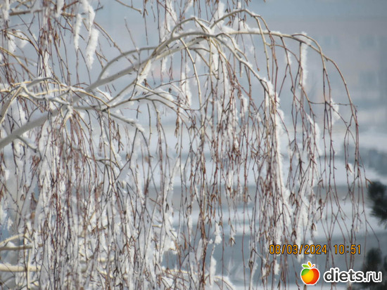 45 фото: февраль/март 2024