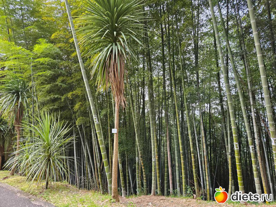 55 фото: февраль/март 2024