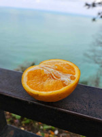 ���� ������ �� ����� �� ������!