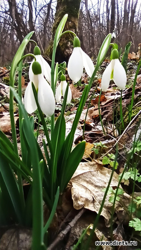 31 фото: ! Походы 2024