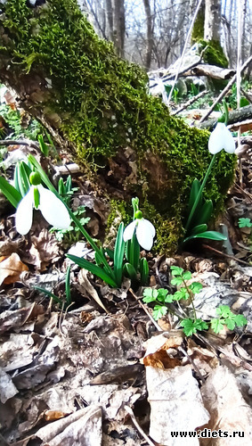 32 фото: ! Походы 2024