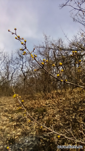 34 фото: ! Походы 2024