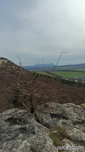 35 фото: ! Походы 2024