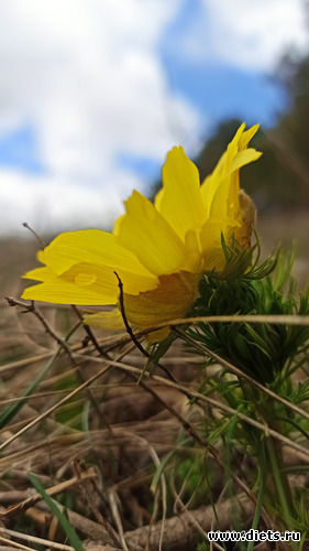 39 фото: ! Походы 2024