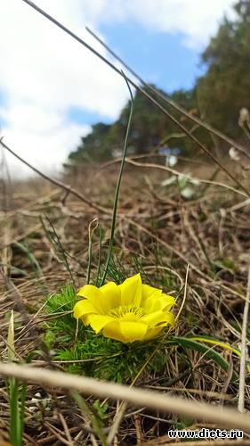 41 фото: ! Походы 2024