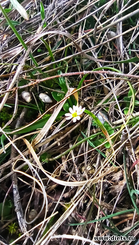 44 фото: ! Походы 2024