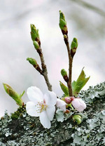 День 43. Не было печали, но я пошла читать...