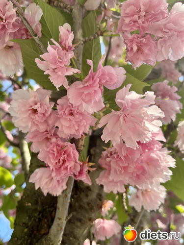 1 фото: Весна 2024