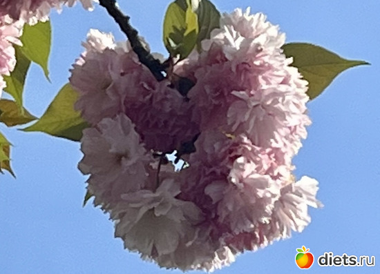 2 фото: Весна 2024