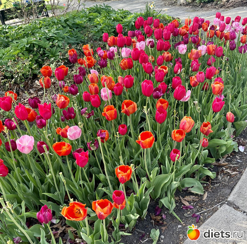 9 фото: Весна 2024