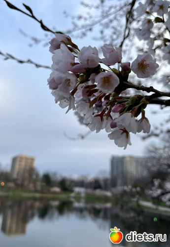 10 фото: Весна 2024