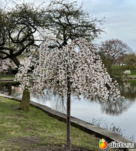 11 фото: Весна 2024