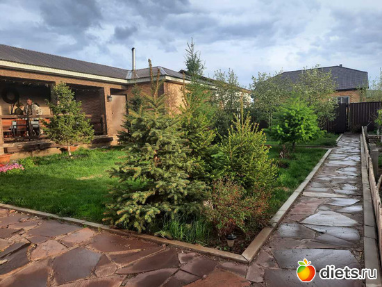 прошёл дождь и была даже гроза, альбом: апрель/май 2024