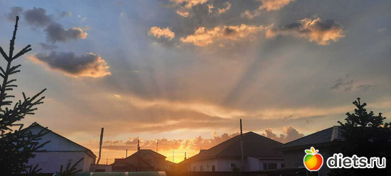 закат, альбом: апрель/май 2024