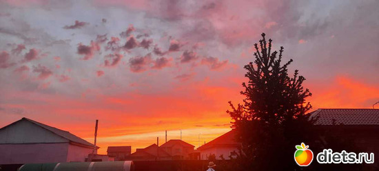 фееричная природа, альбом: апрель/май 2024