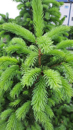 ����� ������� � ������� ��� �����