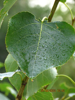 ������� ������/ ���������� � ����������/���� �����