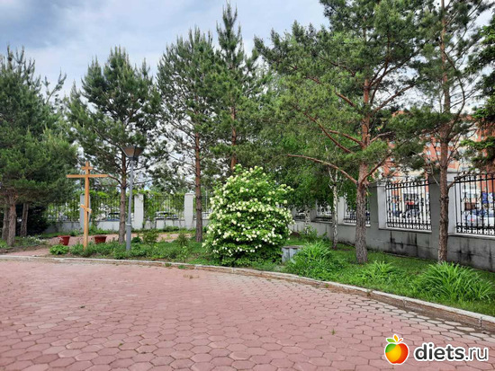 � ��� ��� �� ������?!, ������: ����� ������