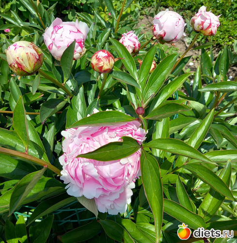 8 ����: ����� ��� � �� ������