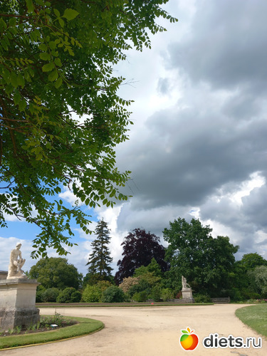 10 фото: цветы мои и не только