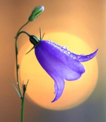 Короткие наставления.