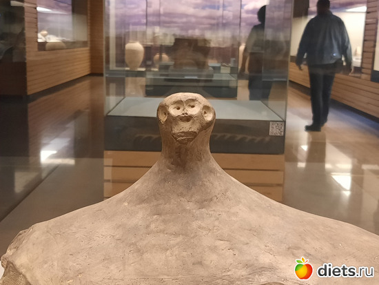 такой милаш))) обезьянка?, альбом: Нац.музей 2024