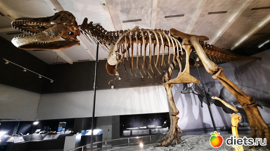 краусаучиг, альбом: Нац.музей 2024