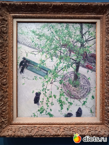 14 фото: Гюстав Кайботт - зеркало Belle Epoque