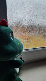 �� ��������, �� ������ � � ����/ ������� ������ �� ������/ ����� ����������� ����� �� �����