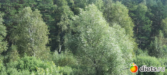 красота кругом!, альбом: Омутинка