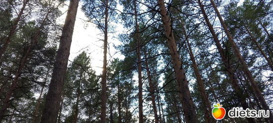 господи, как же тут тихо, аж страшно, альбом: Омутинка