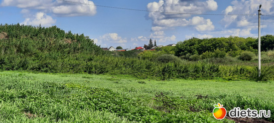 65 фото: Омутинка 2