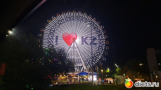 24 фото: сентябрь 2024