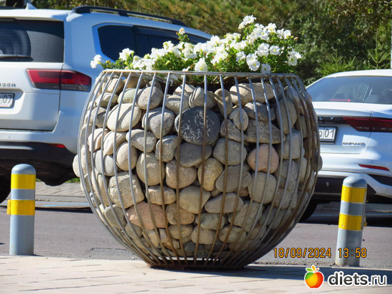 55 фото: сентябрь 2024