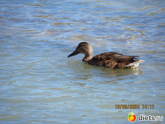 67 фото: сентябрь 2024