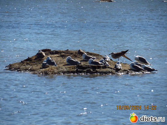 69 фото: сентябрь 2024