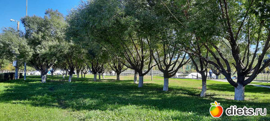 73 фото: сентябрь 2024