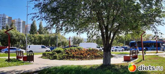 город живёт и бурлит, альбом: сентябрь 2024