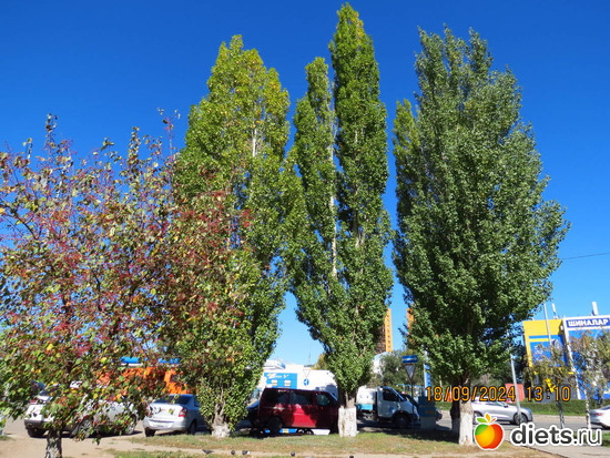 пошла я дышать сентябрём!!!, альбом: сентябрь 2024