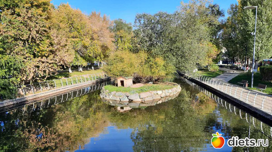 82 фото: сентябрь 2024