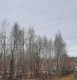 Записки стройнеющей. Апрельское утро.