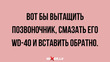 Всем бобра, а я жива!