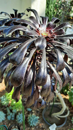 ���������� ���/ �������� �����/ ������� ��������/ ��� ����� ���� ���� ��������