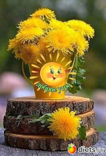 25 фото: ! Позитив