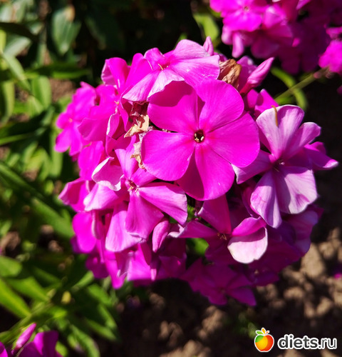 4 фото: ЖИТЬ ЗДОРОВО НЕ СМОТРЯ НИ НА ЧТО