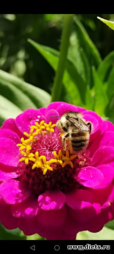 5 фото: ЖИТЬ ЗДОРОВО НЕ СМОТРЯ НИ НА ЧТО