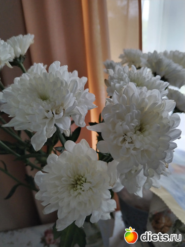 7 фото: ЖИТЬ ЗДОРОВО НЕ СМОТРЯ НИ НА ЧТО